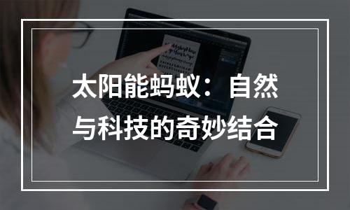 太阳能蚂蚁：自然与科技的奇妙结合