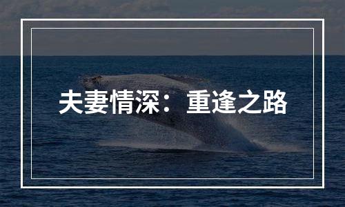 夫妻情深：重逢之路