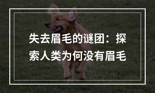 失去眉毛的谜团：探索人类为何没有眉毛