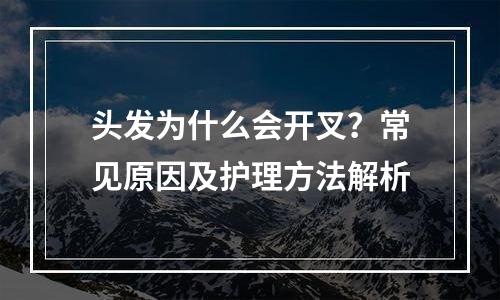 头发为什么会开叉？常见原因及护理方法解析