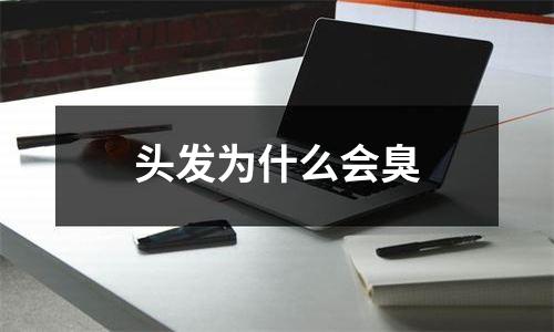 头发为什么会臭