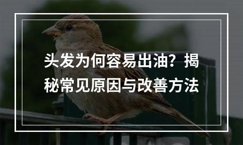 头发为何容易出油？揭秘常见原因与改善方法