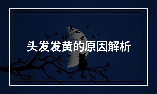 头发发黄的原因解析