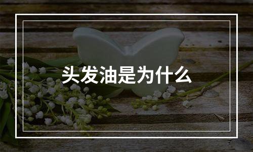 头发油是为什么