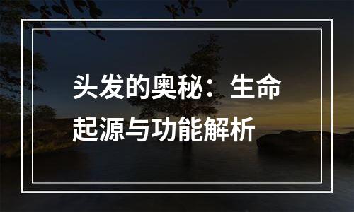 头发的奥秘：生命起源与功能解析