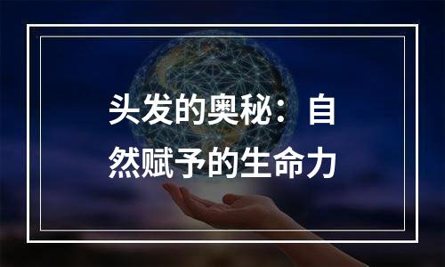 头发的奥秘：自然赋予的生命力