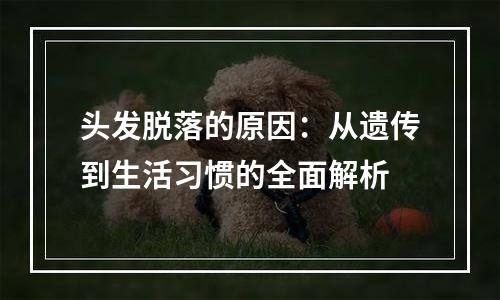 头发脱落的原因：从遗传到生活习惯的全面解析