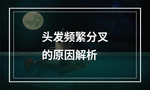 头发频繁分叉的原因解析