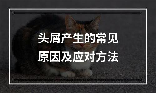 头屑产生的常见原因及应对方法