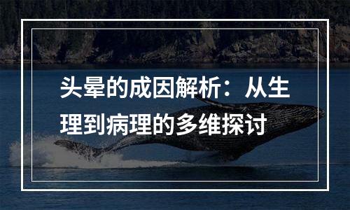 头晕的成因解析：从生理到病理的多维探讨