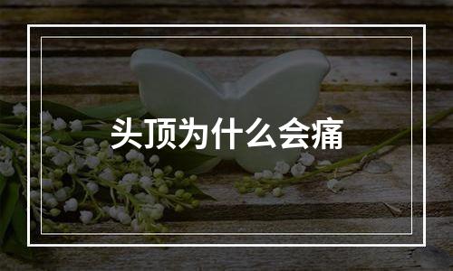 头顶为什么会痛