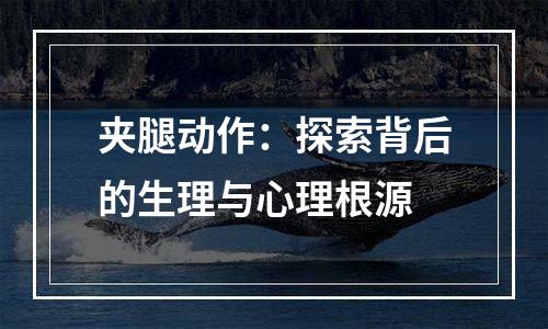 夹腿动作：探索背后的生理与心理根源