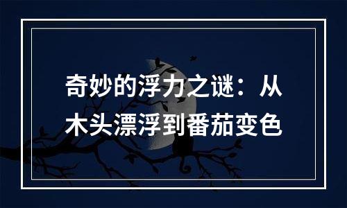 奇妙的浮力之谜：从木头漂浮到番茄变色