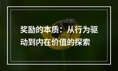 奖励的本质：从行为驱动到内在价值的探索
