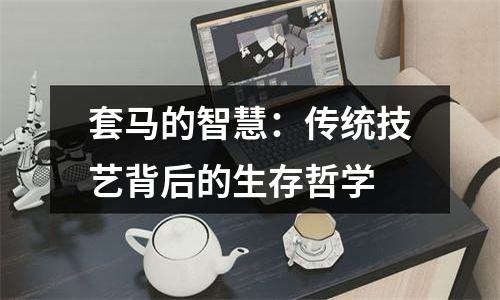 套马的智慧：传统技艺背后的生存哲学