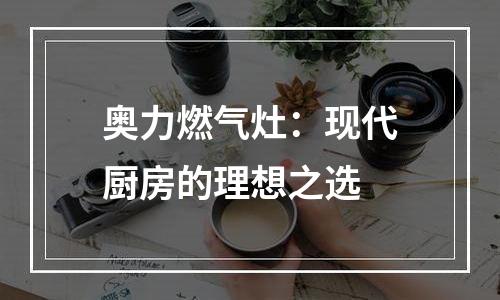 奥力燃气灶：现代厨房的理想之选
