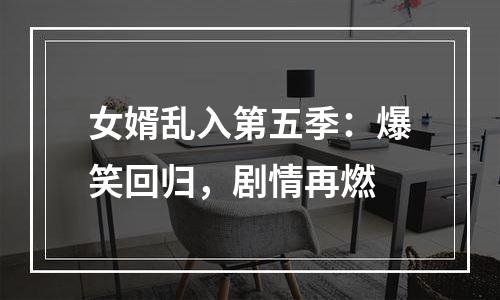 女婿乱入第五季：爆笑回归，剧情再燃