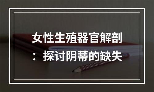 女性生殖器官解剖：探讨阴蒂的缺失
