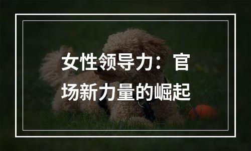 女性领导力：官场新力量的崛起