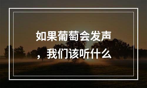 如果葡萄会发声，我们该听什么