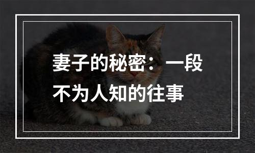 妻子的秘密：一段不为人知的往事