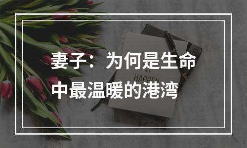 妻子：为何是生命中最温暖的港湾