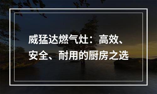 威猛达燃气灶：高效、安全、耐用的厨房之选