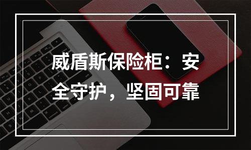 威盾斯保险柜：安全守护，坚固可靠