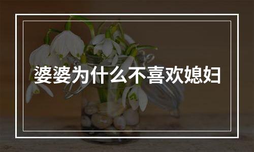 婆婆为什么不喜欢媳妇