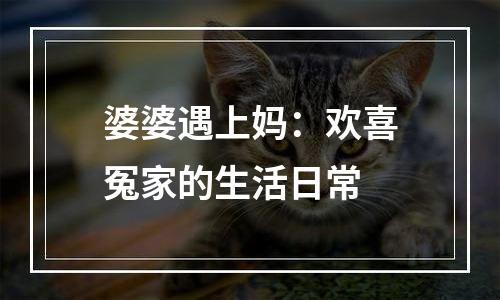 婆婆遇上妈：欢喜冤家的生活日常