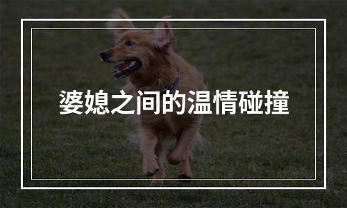 婆媳之间的温情碰撞