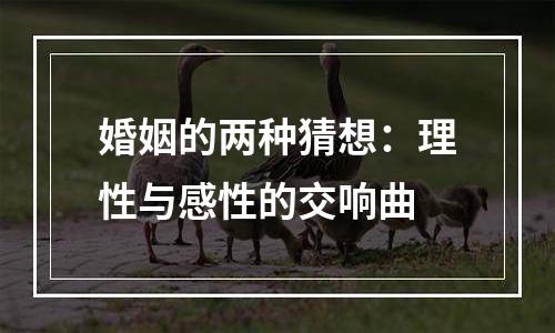 婚姻的两种猜想：理性与感性的交响曲