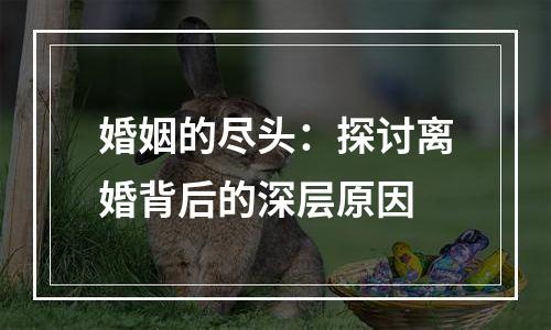 婚姻的尽头：探讨离婚背后的深层原因