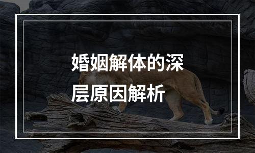 婚姻解体的深层原因解析
