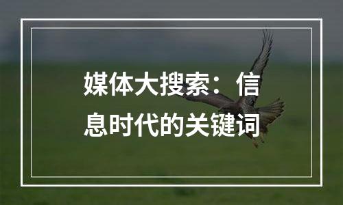 媒体大搜索：信息时代的关键词