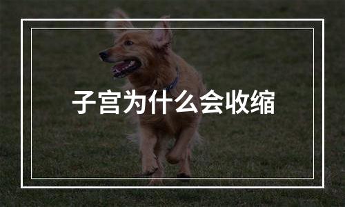 子宫为什么会收缩