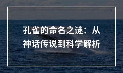 孔雀的命名之谜：从神话传说到科学解析
