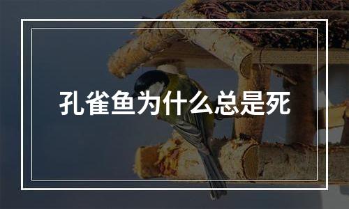 孔雀鱼为什么总是死