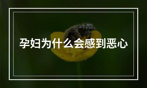 孕妇为什么会感到恶心