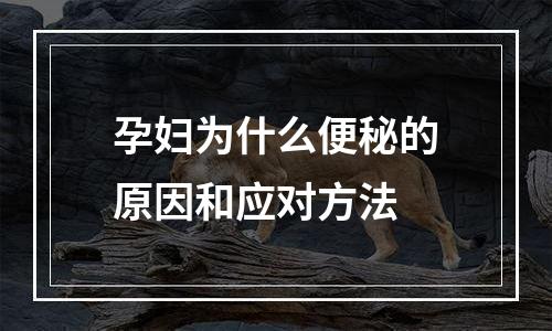 孕妇为什么便秘的原因和应对方法