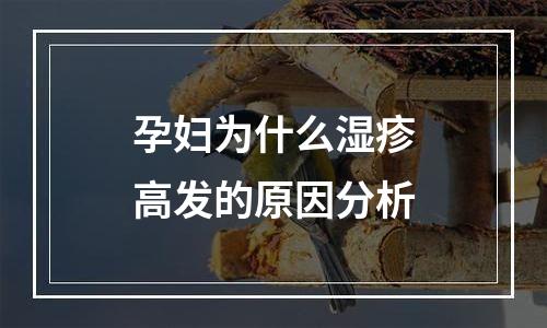 孕妇为什么湿疹高发的原因分析