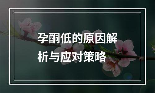 孕酮低的原因解析与应对策略