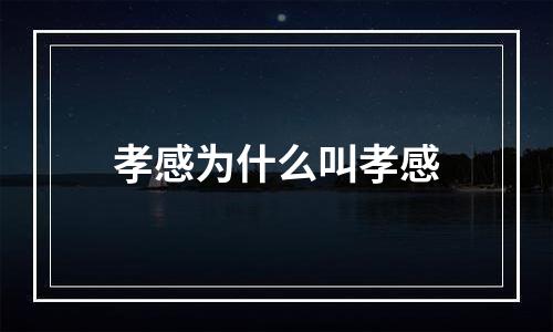 孝感为什么叫孝感