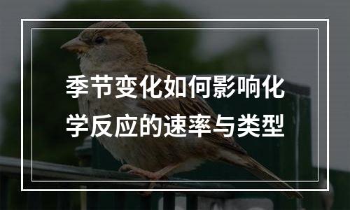 季节变化如何影响化学反应的速率与类型