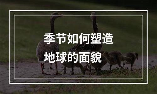 季节如何塑造地球的面貌