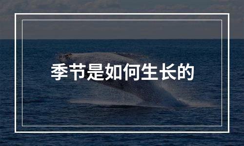 季节是如何生长的