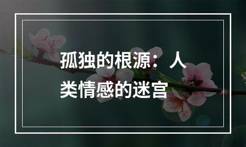 孤独的根源：人类情感的迷宫