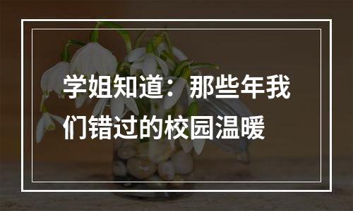 学姐知道：那些年我们错过的校园温暖