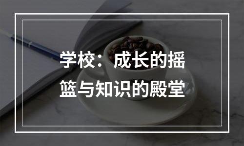 学校：成长的摇篮与知识的殿堂