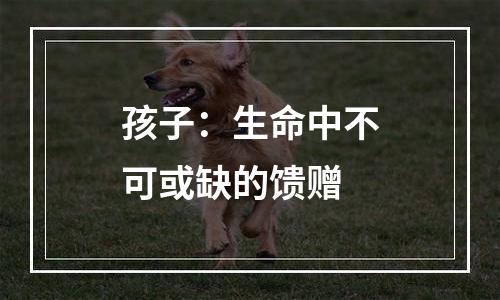 孩子：生命中不可或缺的馈赠